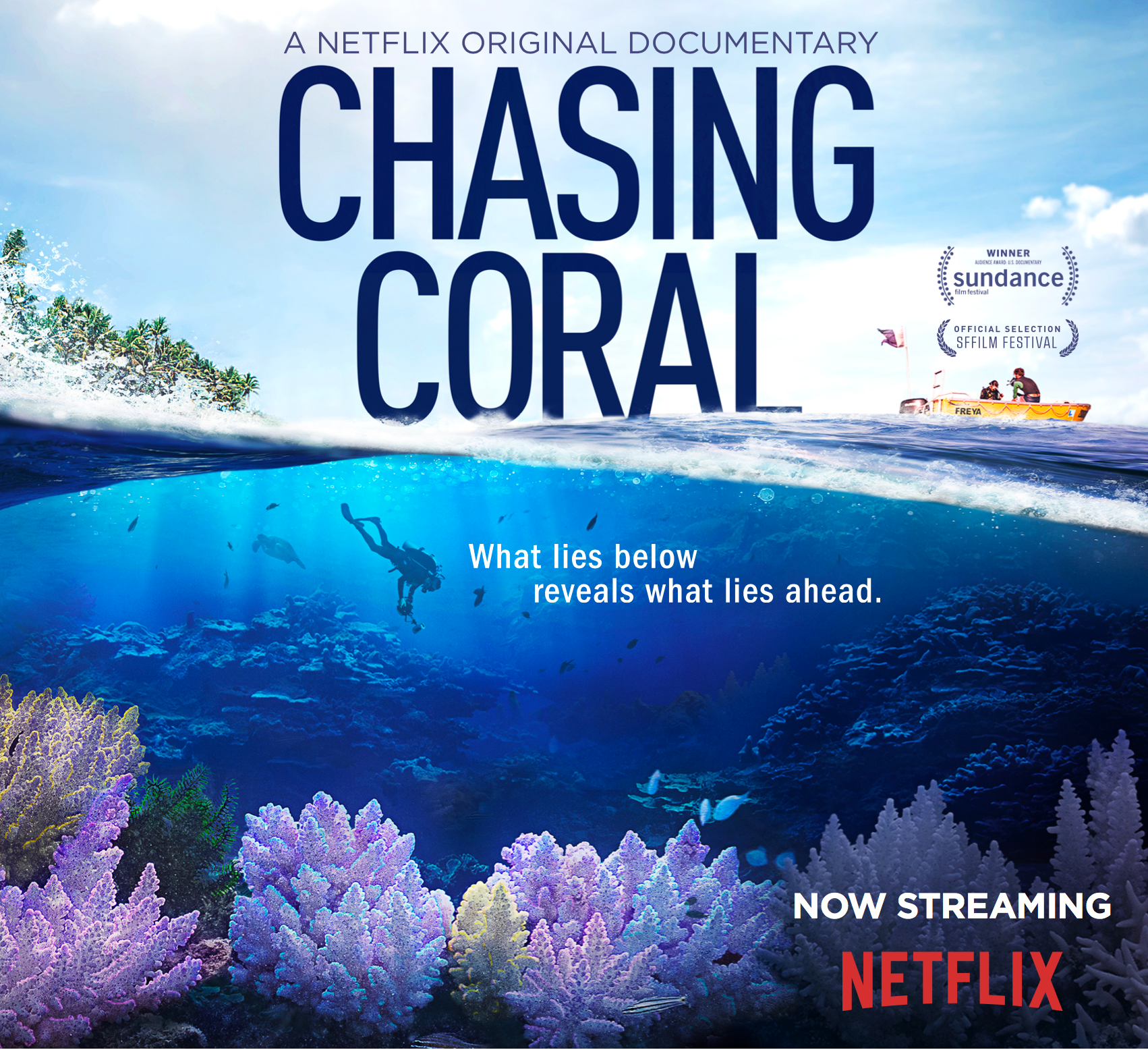 Chasing Coral: Documentary Screening