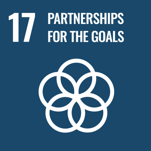 SDG 17: Partnership for the Goals